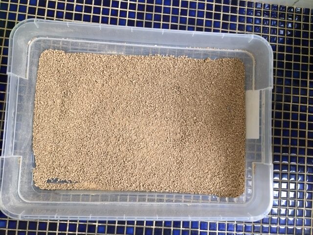 Mel's Current Litter Tray for Adult Cat_Bunnings 38L Storage Box