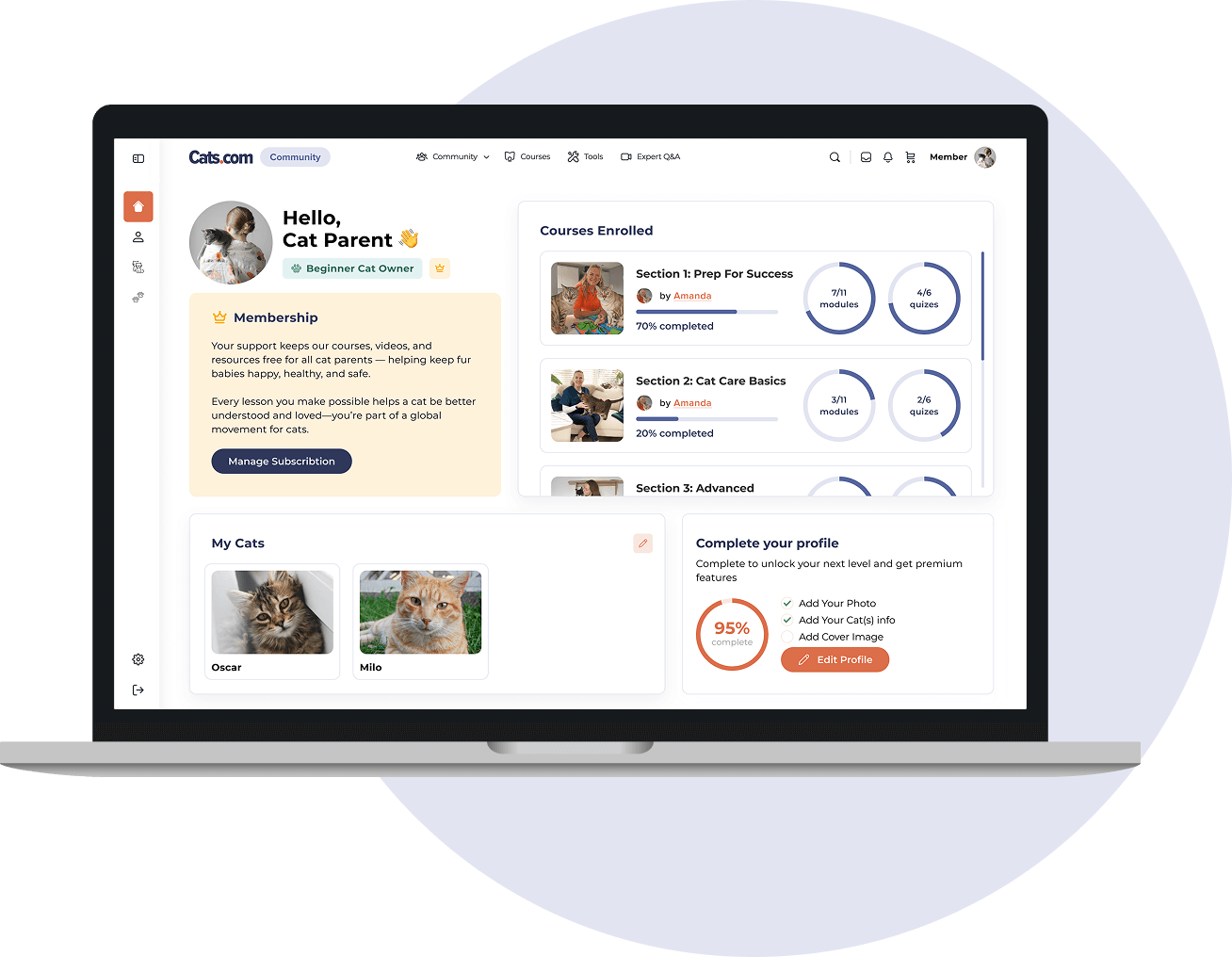 Cats.com community dashboard
